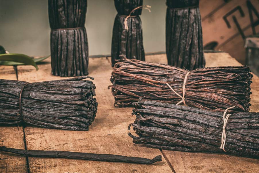 Aust & Hachmann – 130 Jahre Vanille Tradition